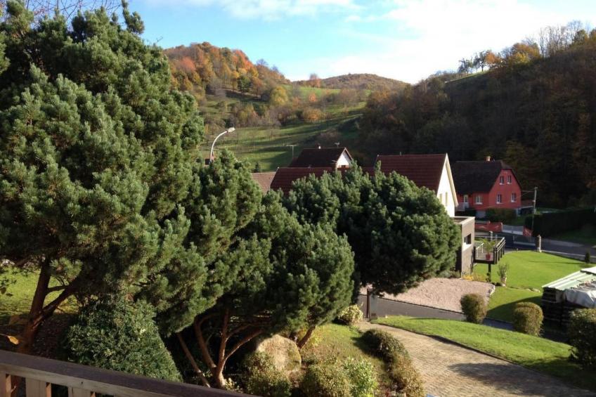 Bellevue mit Große Garten - foto 31