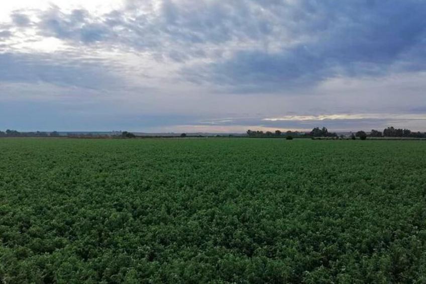 El rincón de Rivero - foto 12