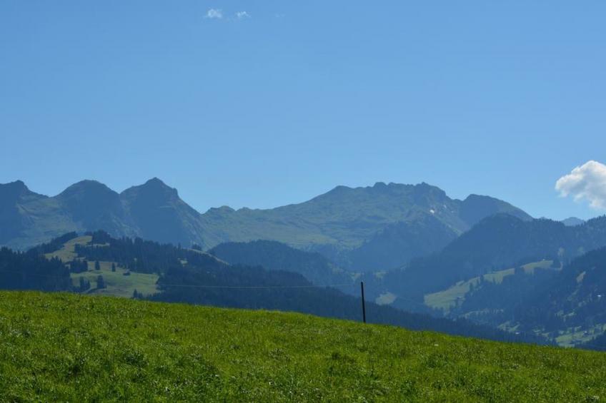 Anne (Hochparterre) - foto 6