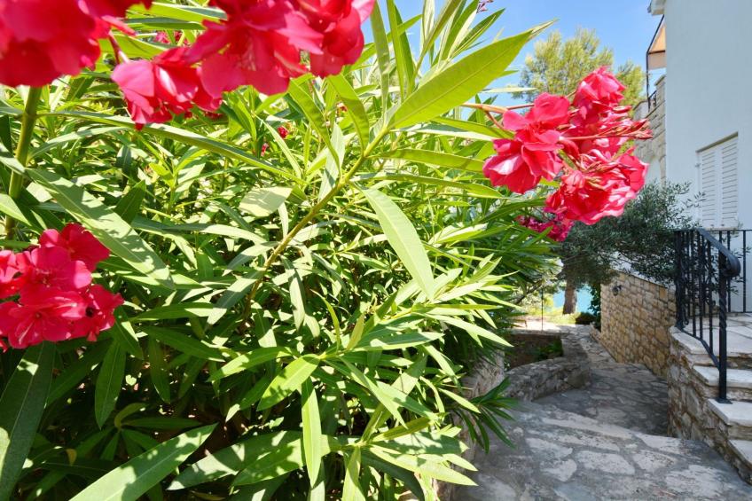 Blissful Bay Apartments Vrboska - Two Bedroom Apartment with Terrace (owner Kadulja) - foto 25