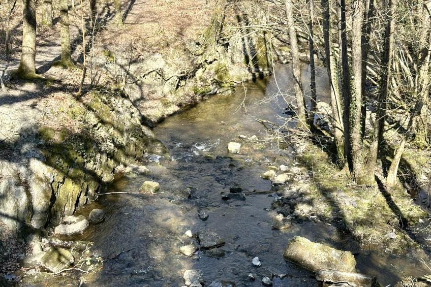 Pré Hugon 11 - foto 35