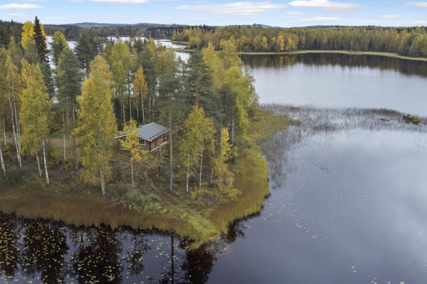 Niemenkärki, vaikon loma ja lohi - foto 11