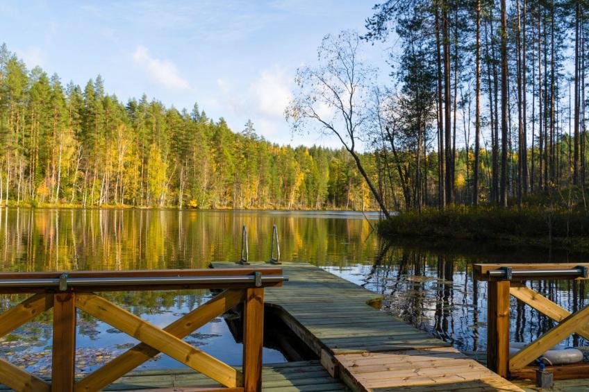 Villa tunturitervakko - foto 26