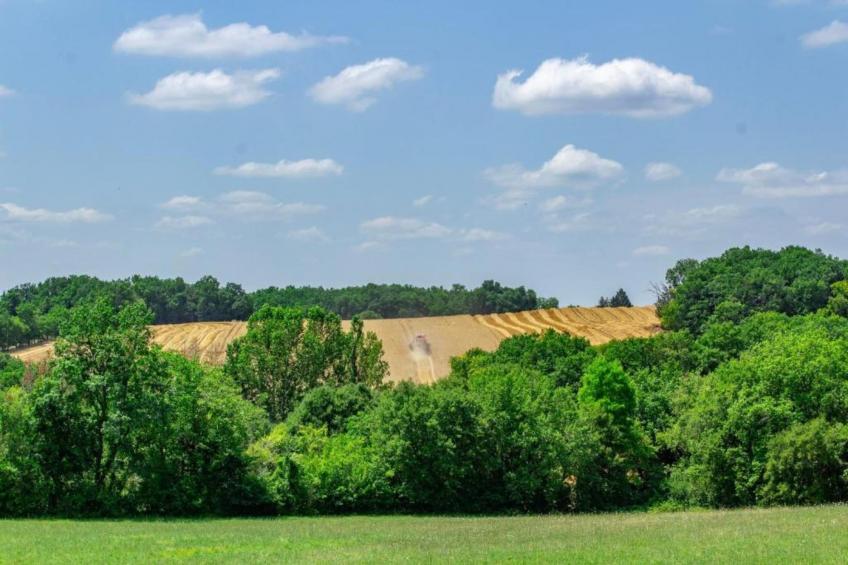Maison de vacances - MONTAIGU-DE-QUERCY - foto 29