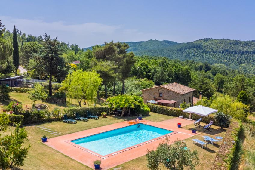 PINO DI SOPRA (CNC132)