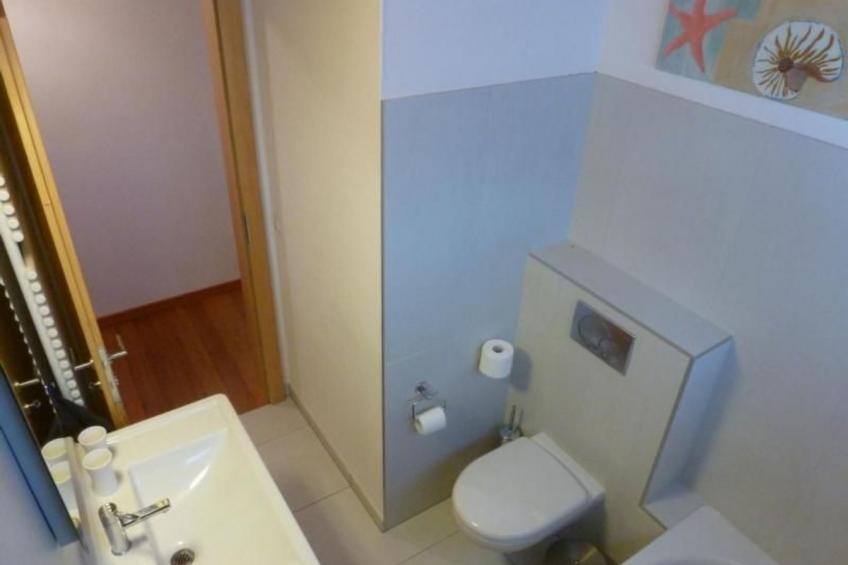 Blue Merle - foto 27