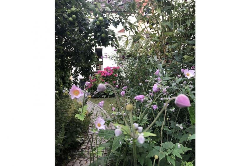 79988 - foto 10