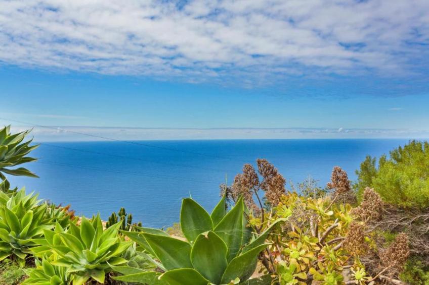 La casa de Amalia - foto 22