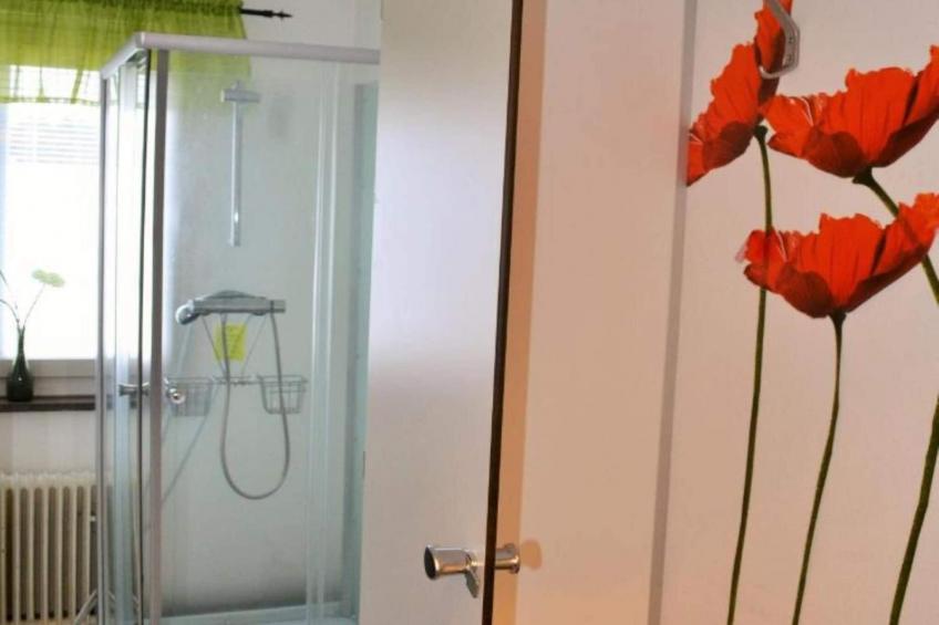 Superiorværelse og fælles badeværelse - foto 17