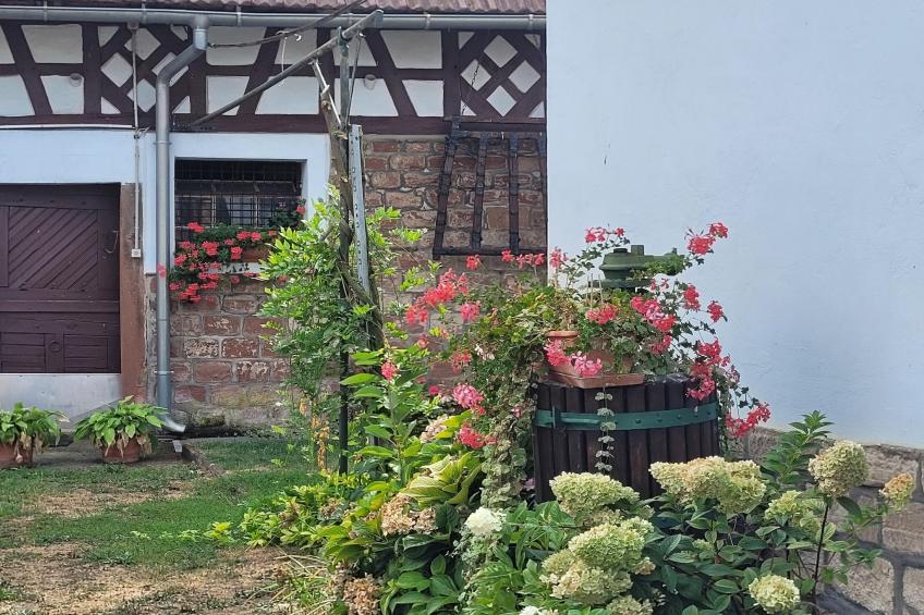 Maison de vacances - SCHLEITHAL - foto 36