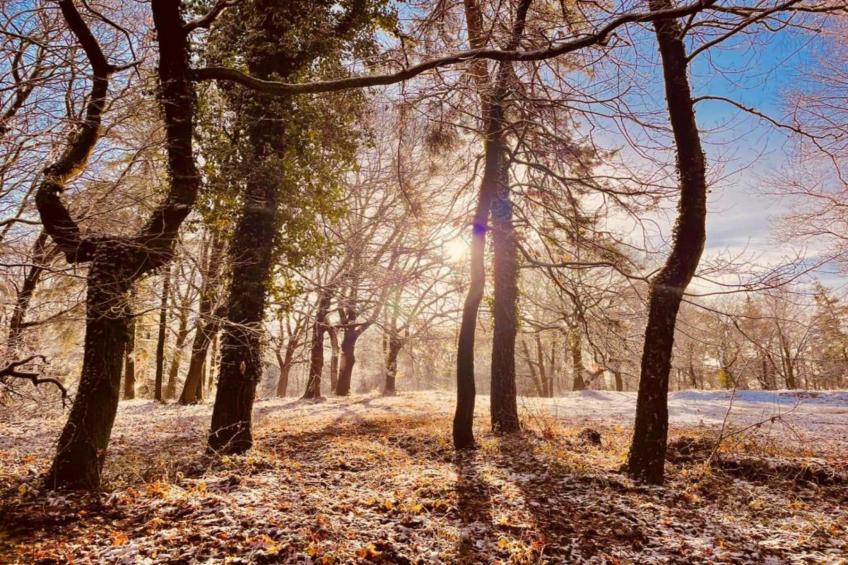 Vakantie bij Meeussen - Schuttersoord 2 - foto 38