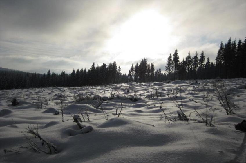 Rittersgrün - foto 24