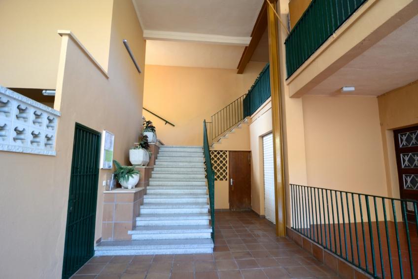 ELS PINS 3-F - foto 21