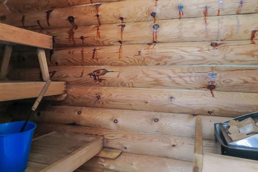 Etelätuuli - foto 11