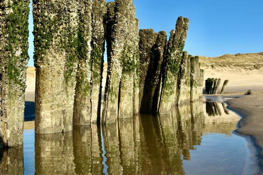 Rekerlanden 174 - foto 11