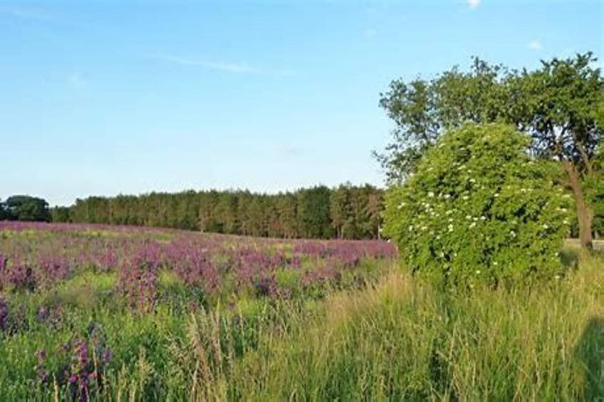 Vakantiehuis, Wieda - foto 21