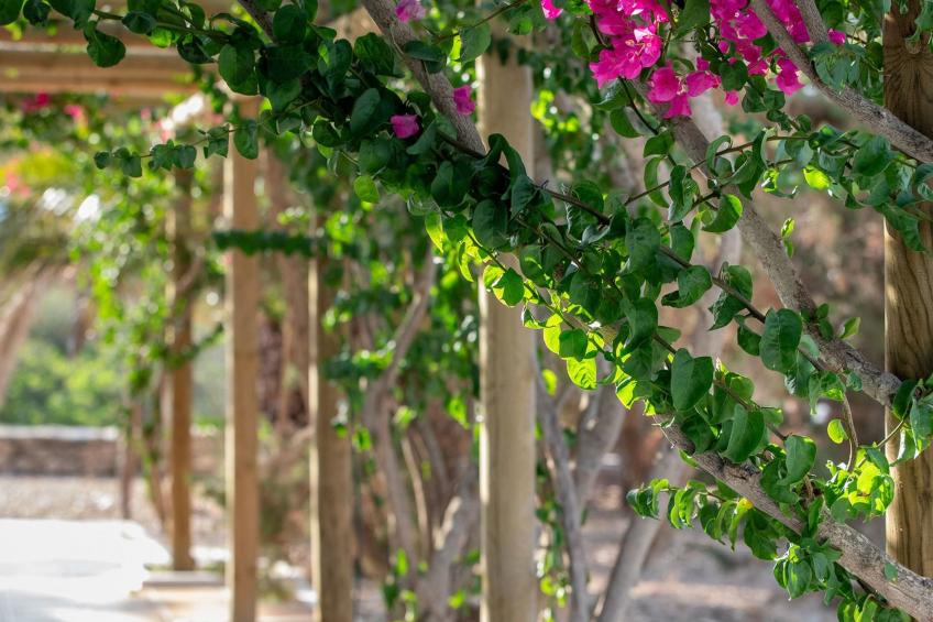 Casa Llevant 4 pax - foto 9