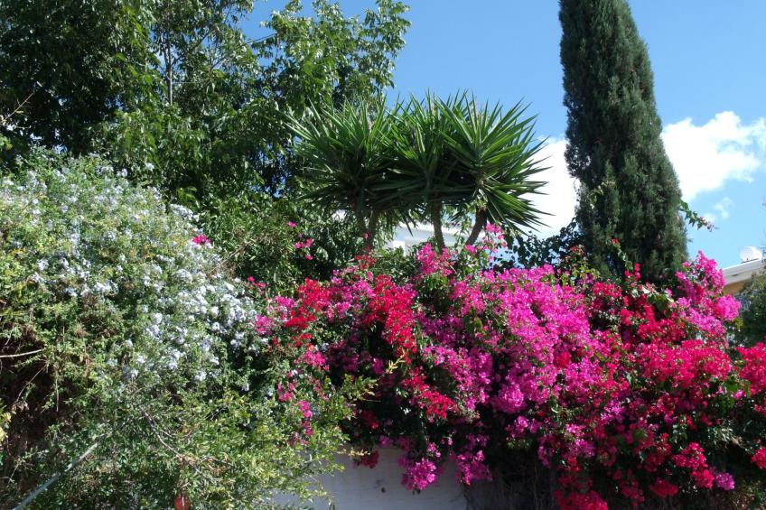 "Iptamena" mit Blick auf das Wasser - foto 8