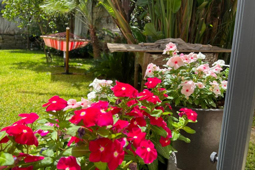 Exklusive Wohnung mit Garten - foto 4