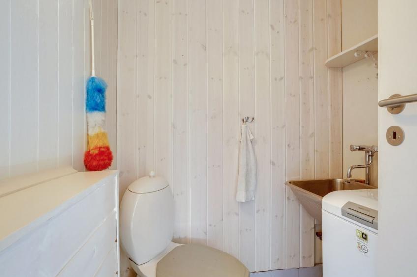 "Self" - 400m to the inlet in The Liim Fiord - foto 24