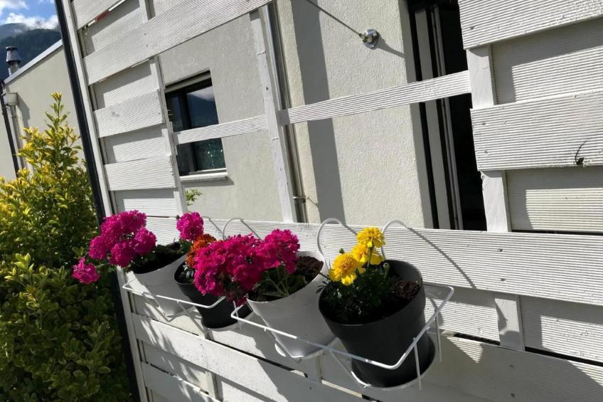 Guesthouse Petit Pré Studio ZEN - foto 26