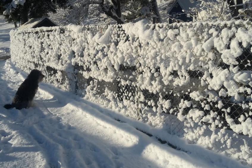 Staudenhof Viamala - foto 17