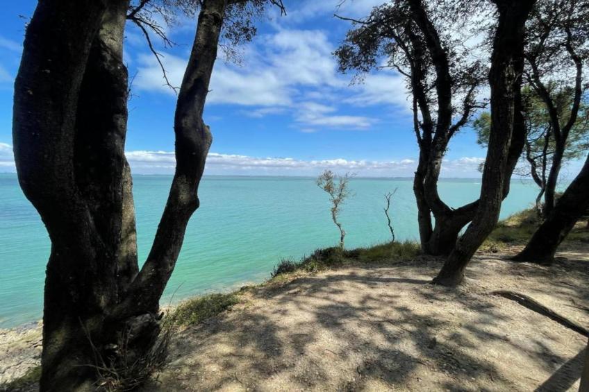 Les Terrasses de Fort Boyard - foto 16