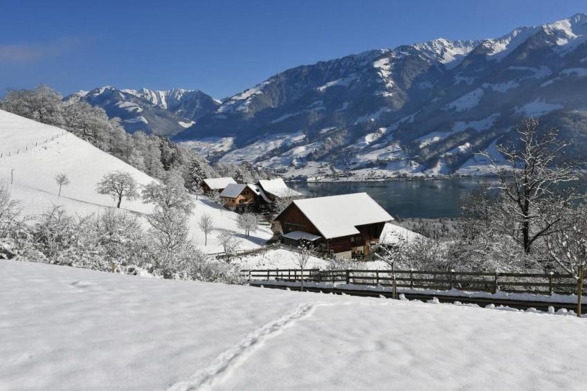 Holzhaus auf Lamahof - foto 46