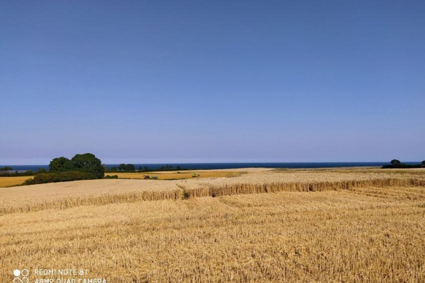 118650 - foto 23