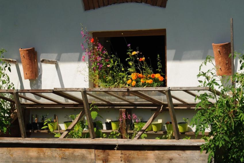 Kellerstöckl am veganen Bio-Lebenshof - Varm - the vegan Farm - foto 33