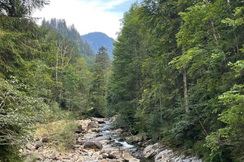 Chalet Muse - foto 35