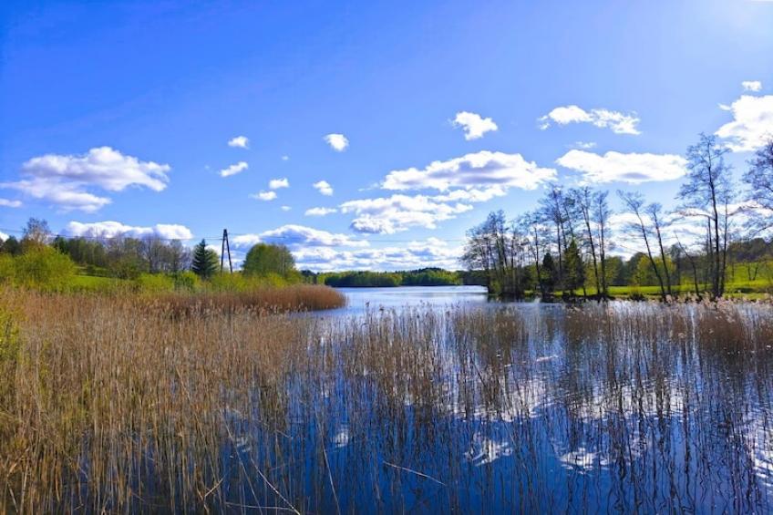 Appartementen, Rekowo - Type A - foto 23