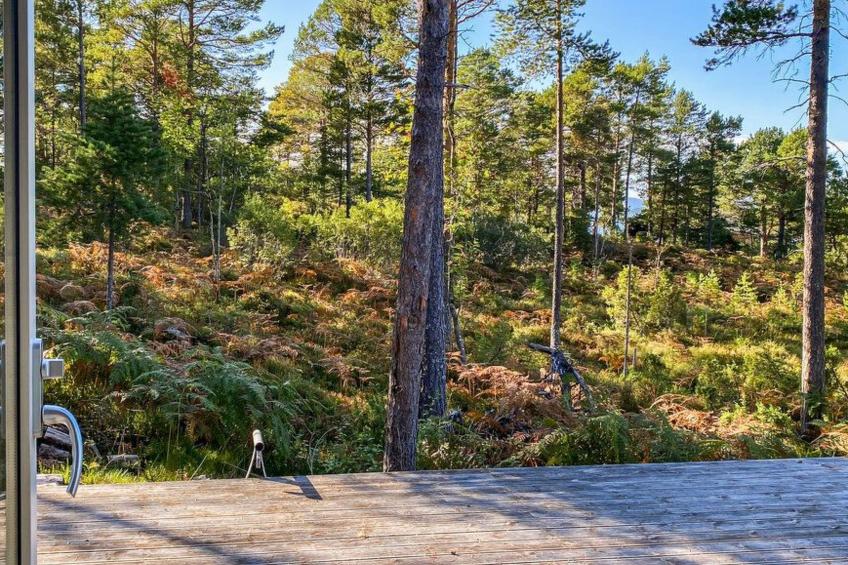 Tingvoll Blockhaus - foto 12