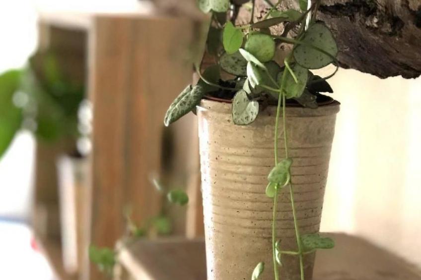 mit Bergblick - foto 17