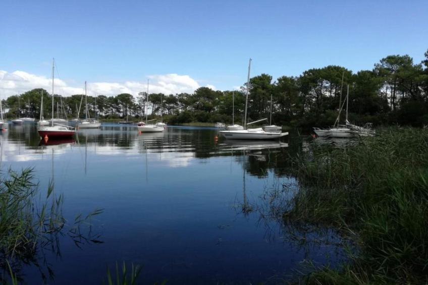 Résidence Le Petit Pont 2 - foto 24