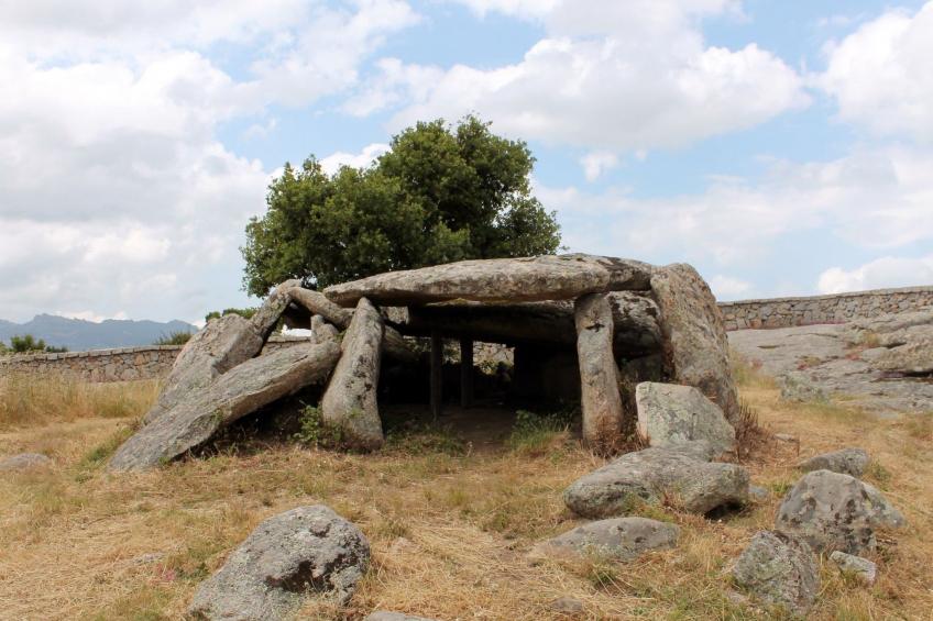 Stazzo mit Garten in Luogosanto - foto 38