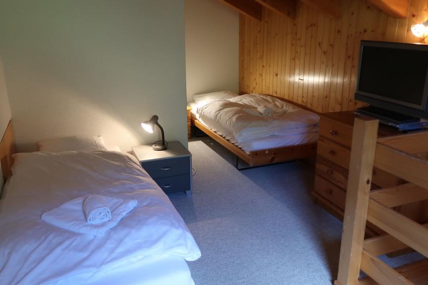 Haute-Nendaz (Siviez) (SIV135) - foto 14