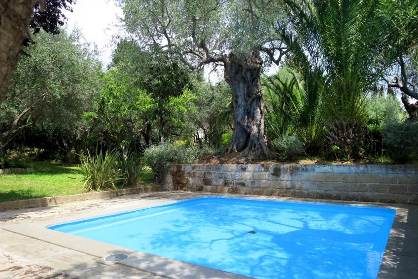 Residence Park Solemaremma (CST327) - foto 19