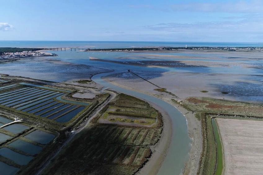 Maison à Barbâtre - Ile de Noirmoutier - foto 20