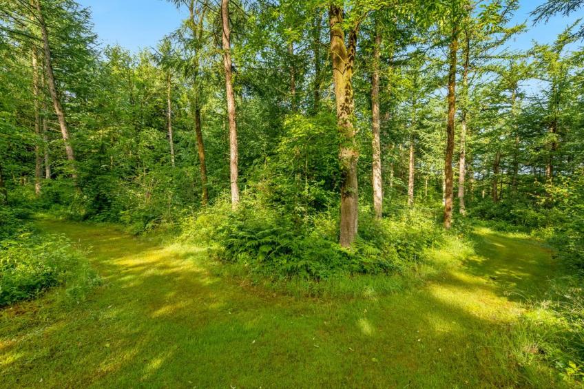 "Fina" - 15km from the sea in Western Jutland - foto 9