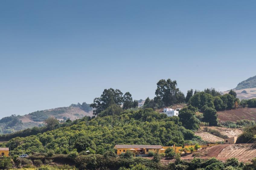 Finca mit Pool - foto 25