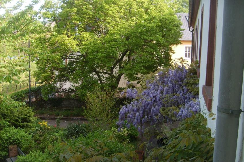 mit Garten und Parkplatz - foto 4