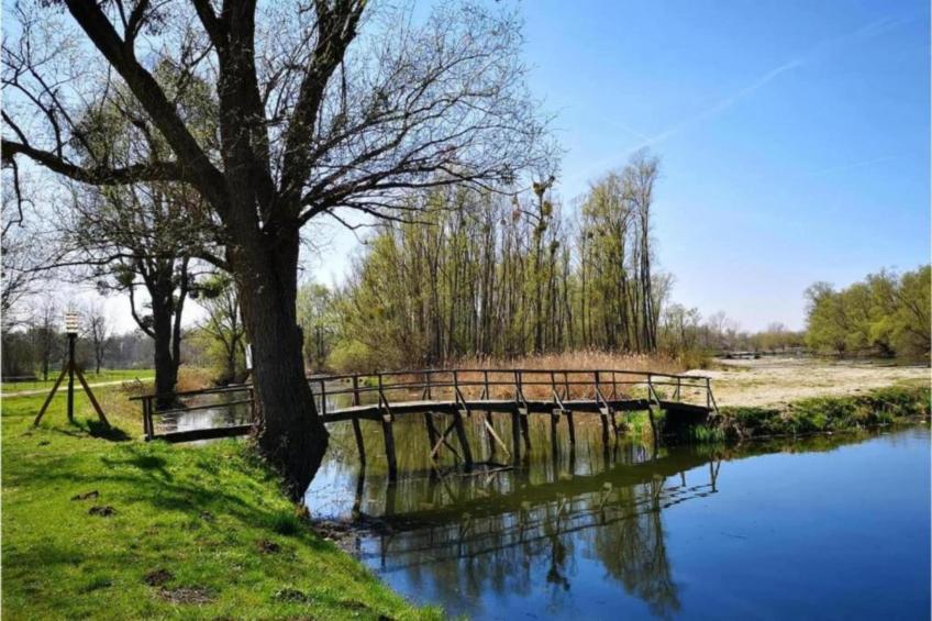 Villa Chiara - foto 25