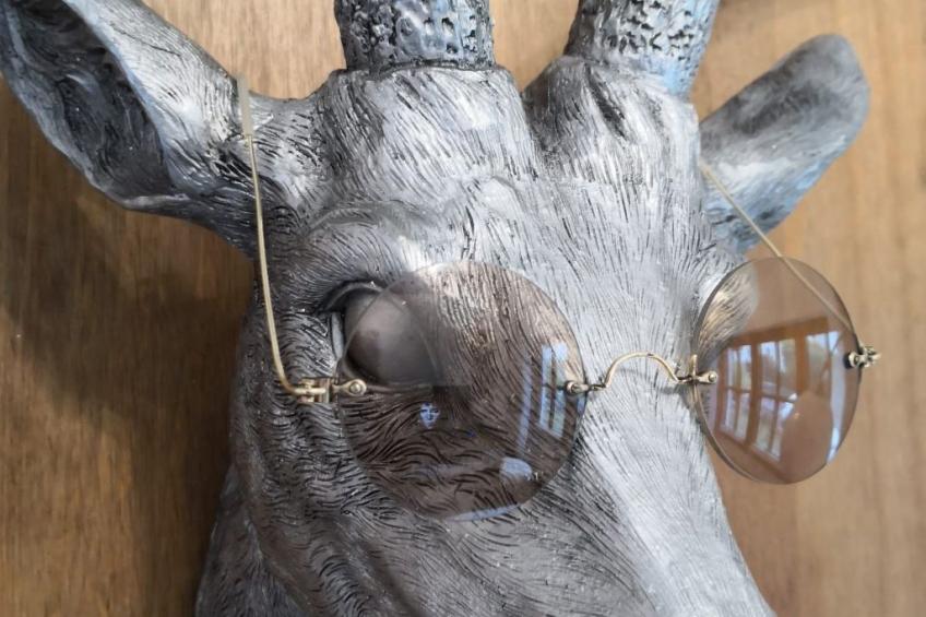 im Naturpark Steinwald - foto 3