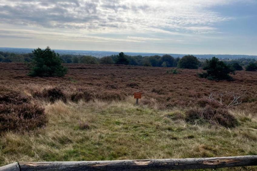 Park Haarle - foto 21