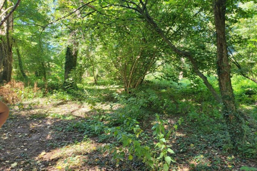 Mas d'Ourbise Penan - foto 32