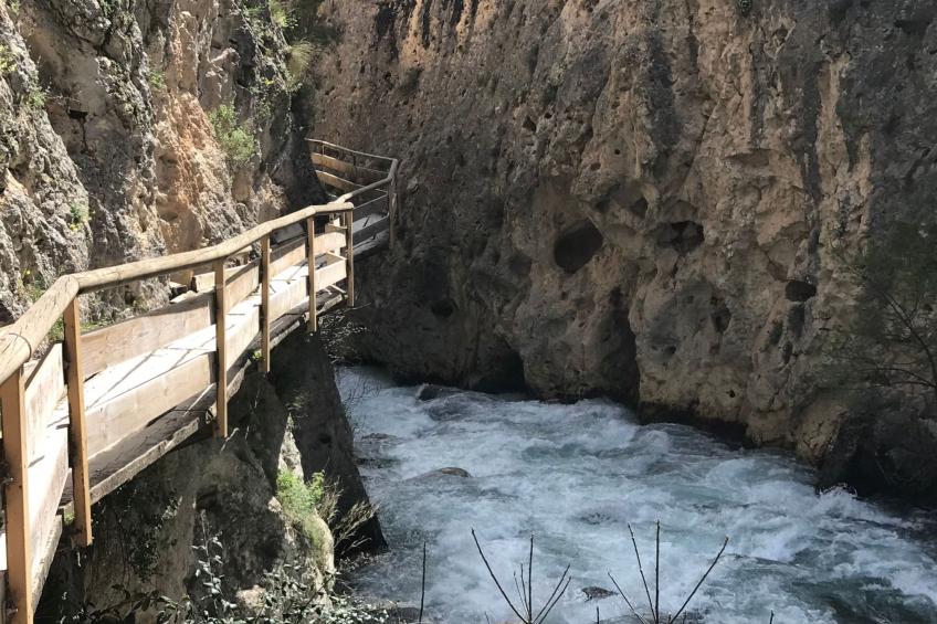 mit Garten und gemeinsamem Pool - foto 33