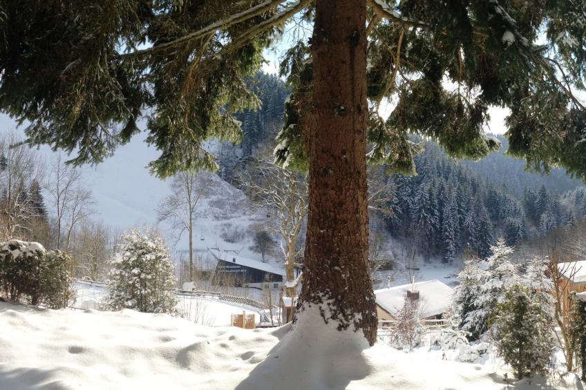 Schöne Aussicht - foto 37