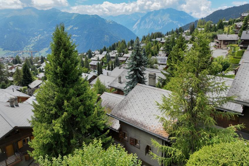 Sernisa Rez - foto 19