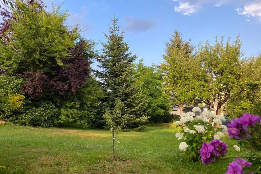 Geräumige Wohnung in Bad Elster mit Terrasse, Garten und Grill - foto 10